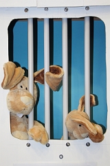 2016_12_02 10_16_29 - Sylvia Froehlich